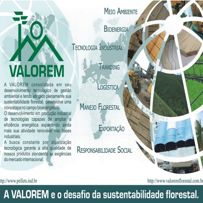 2007 VALOREM FLORESTAL - Flyer Sustentabilidade